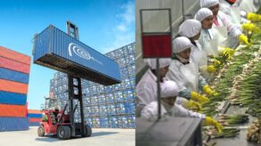 Exportaciones peruanas generan 1.4 millones de empleos formales en 2025.