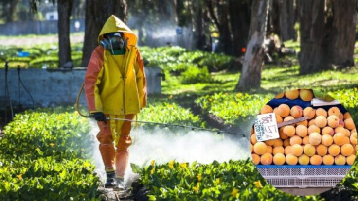 altos niveles de agroquímicos en duraznos