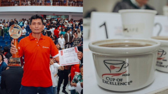 Taza de Excelencia Perú 2025: Cajamarca tiene el mejor café del Perú