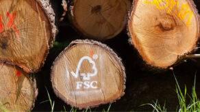 Perú proyecta ampliar la certificación forestal sostenible en la Amazonía