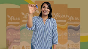 Historia de Element Chemical