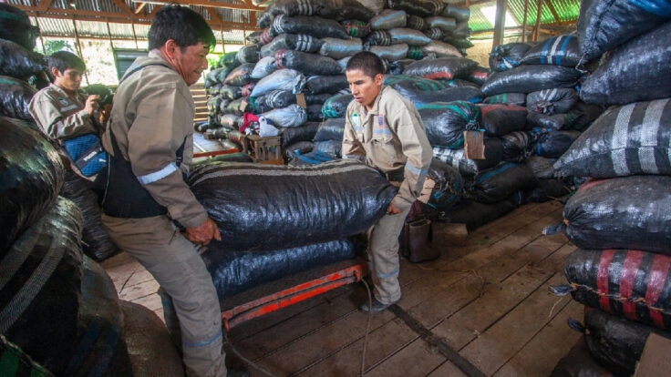 Perú concreta su primer envío de castañas a China y fortalece su oferta agroexportadora.