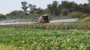 Sector agropecuario.