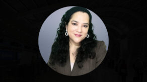 GV Strategie et conseil Internationaux