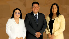 Sociedad Auditora Paredes, Vergaray & Flores
