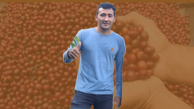 Historia de Finca Sofia