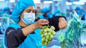 agroexportaciones Peru enero 2026 ComexPeru