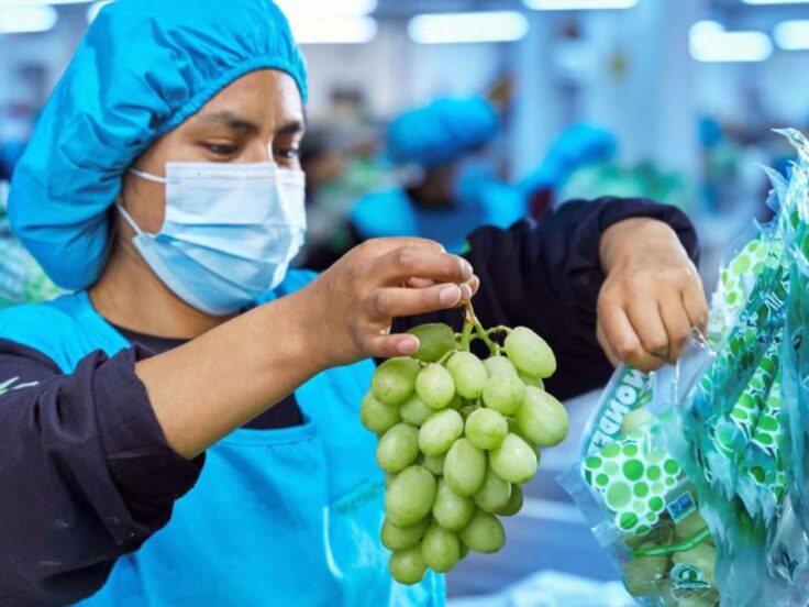 agroexportaciones Peru enero 2026 ComexPeru