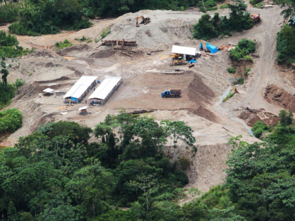 minería ilegal perú precio oro