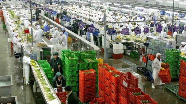 BCR Exportaciones no tradicionales peruanas cerca del 10% en 5 años