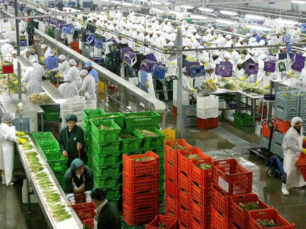 BCR Exportaciones no tradicionales peruanas cerca del 10% en 5 años