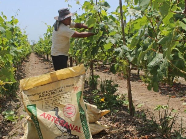 ComexPerú advierte que tensión en Medio Oriente encarece fertilizantes y pone en riesgo al agro peruano