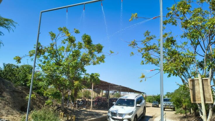 Piura instala pediluvios para frenar avance del Fusarium R4T en cultivos