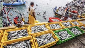 Sanipes otorga 530 habilitaciones sanitarias a infraestructuras pesqueras y acuícolas.
