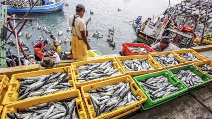Sanipes otorga 530 habilitaciones sanitarias a infraestructuras pesqueras y acuícolas.