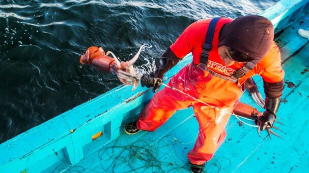 exportaciones pesqueras Peru enero 2026