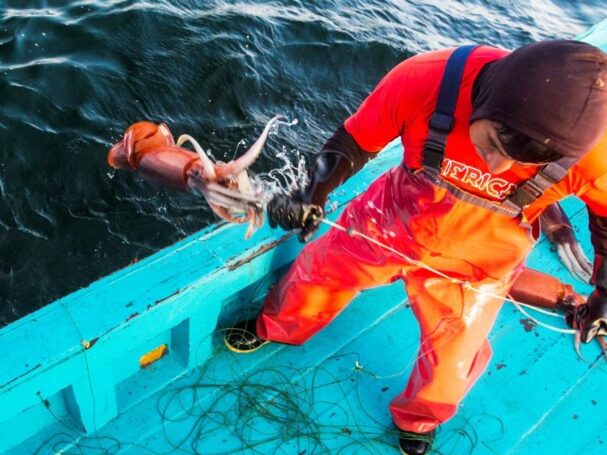 exportaciones pesqueras Peru enero 2026