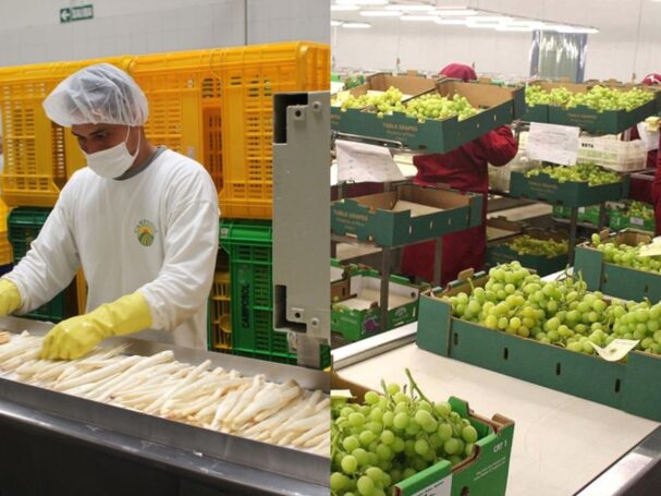 agroexportacion