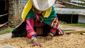Exportaciones de café peruano crecieron más de un 70% hasta febrero de 2026.