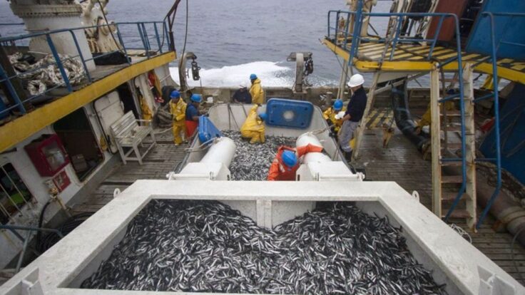 IPE Sector pesca en Piura enfrenta riesgos climáticos y mayores costos por aumento del precio del petróleo
