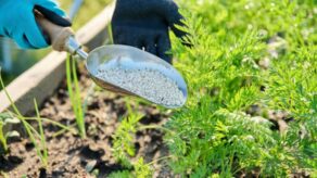 Importación de fertilizantes en Perú cayó en un 12% hasta marzo 2026.