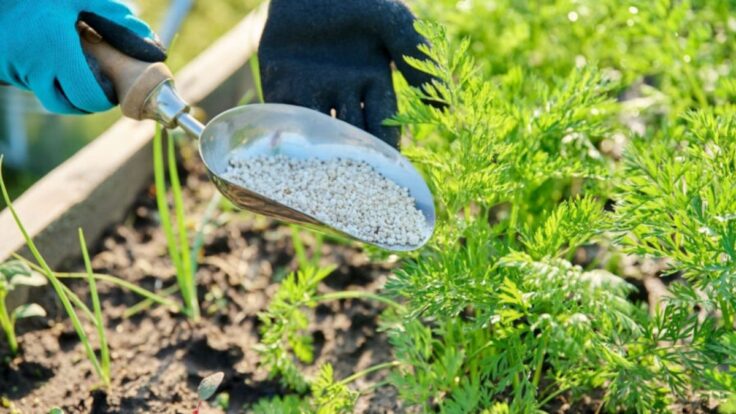 Importación de fertilizantes en Perú cayó en un 12% hasta marzo 2026.