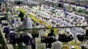 Número de Exportadoras peruanas creció más del 4% en primer bimestre de 2026