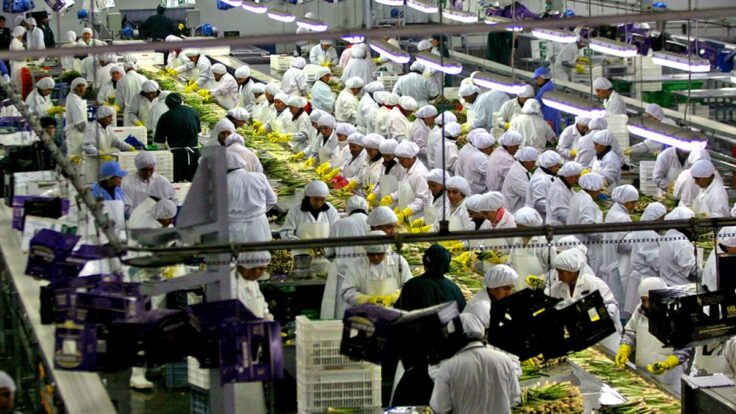 Número de Exportadoras peruanas creció más del 4% en primer bimestre de 2026