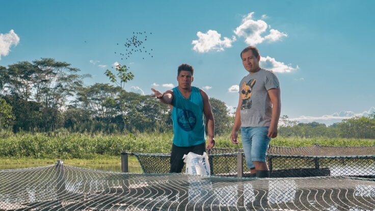 Produce ofrece créditos con tasas del 0% al 1% a acuicultores.