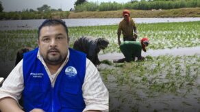costos agrícolas Piura fertilizantes 2026