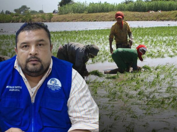 costos agrícolas Piura fertilizantes 2026