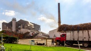 Accionistas de El Ingenio podrán vender sus títulos a S9.775 por acción