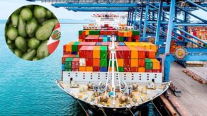 Agroexportaciones peruanas al Reino Unido crecieron 23% hasta abril 2026