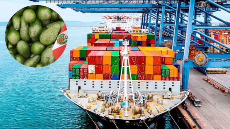 Agroexportaciones peruanas al Reino Unido crecieron 23% hasta abril 2026