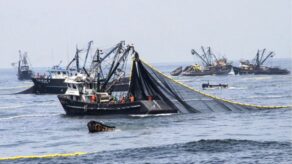 BCRP advierte que El Niño ya golpea la pesca pese al impulso de la economía