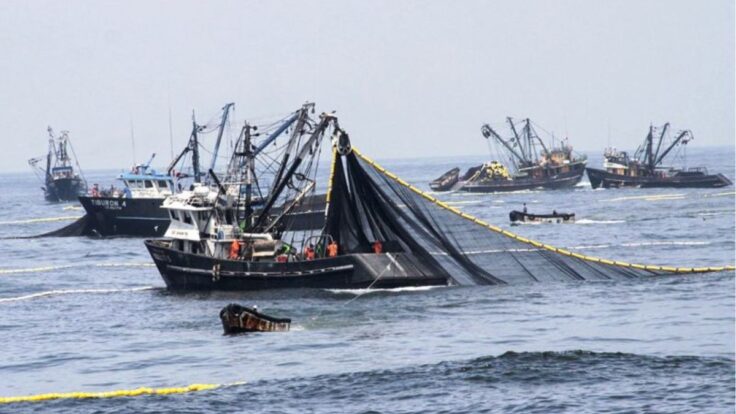 BCRP advierte que El Niño ya golpea la pesca pese al impulso de la economía