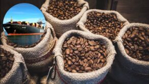 Café en grano exportado creció 50% y alcanzó US$149 millones ¿Qué empresas lideran la exportación