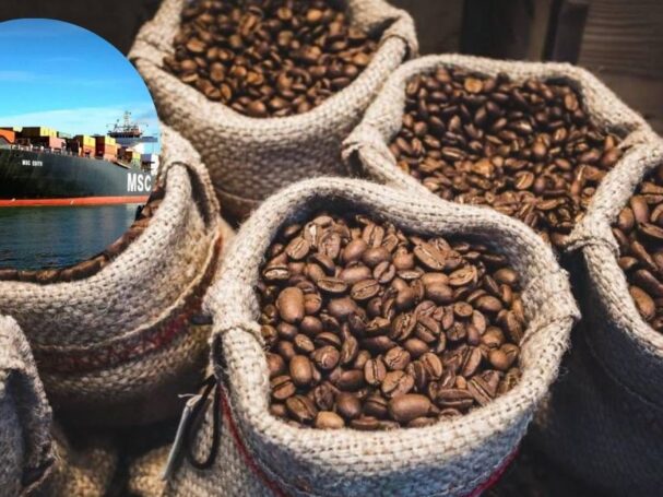 Café en grano exportado creció 50% y alcanzó US$149 millones ¿Qué empresas lideran la exportación