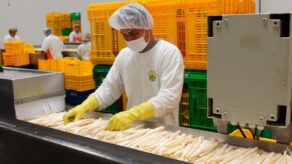 Empresas exportadoras crecieron 4% y superaron las 6,300 en Perú