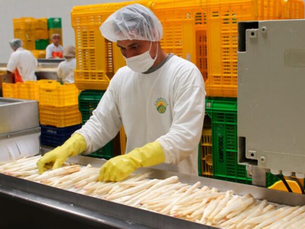 Empresas exportadoras crecieron 4% y superaron las 6,300 en Perú