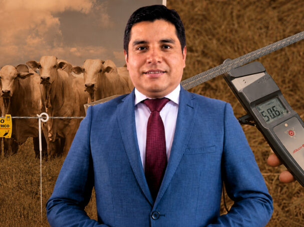 Historia de Linseg