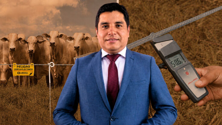 Historia de Linseg