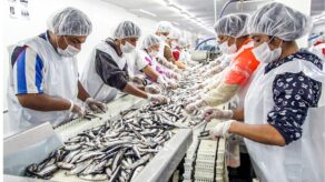 Perú exportó US$1,150 millones en alimentos pesqueros a Asia Oriental