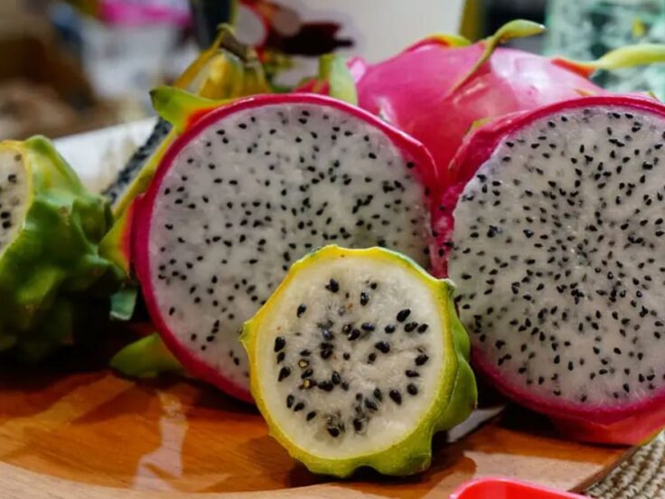 Pitahaya peruana exportó US$ 1.2 millones y 620 toneladas hasta abril 2026