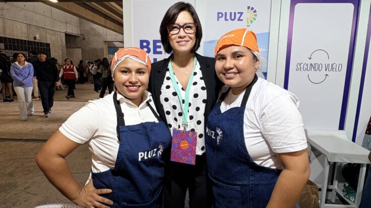 Pluz Energía