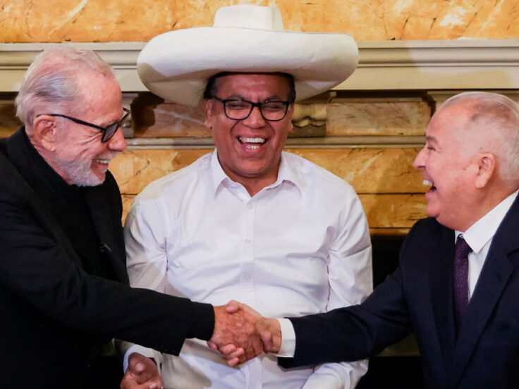 mineros ilegales Roberto Sánchez elecciones 2026