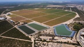 Agro de Piura creció 13.2% impulsado por la producción de arroz