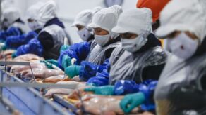 Empleo formal privado creció 5.4% y sumó 242,000 nuevos puestos
