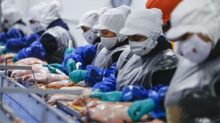 Empleo formal privado creció 5.4% y sumó 242,000 nuevos puestos