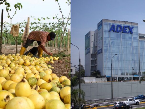 Exportaciones de maracuyá alcanzarían US$84 millones en 2026